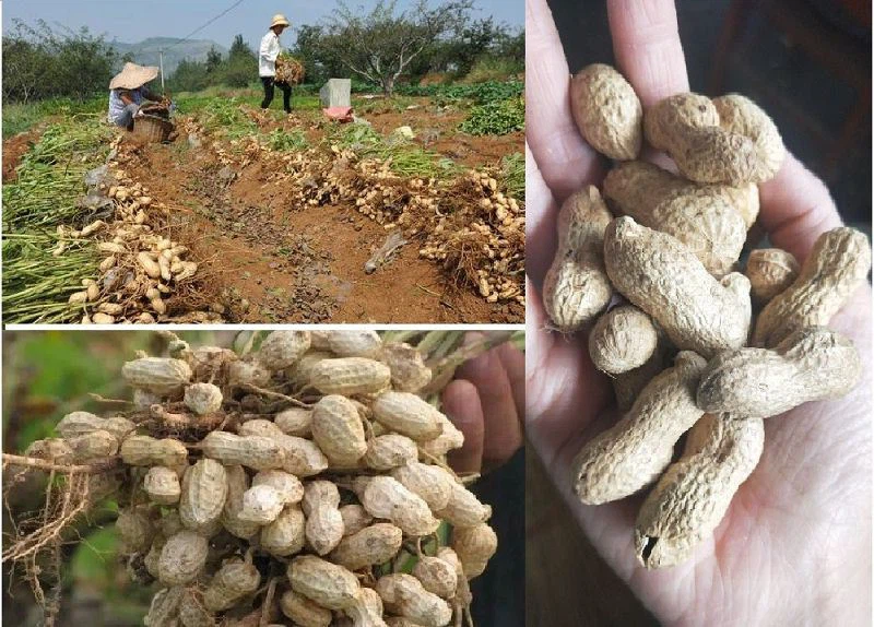 3e9a38fc8ceca10bae6982f47b03c0e4_Nqfe-hvsckth5342058(001) 3e9a38fc8ceca10bae6982f47b03c0e4_Nqfe-hvsckth5342058(001)