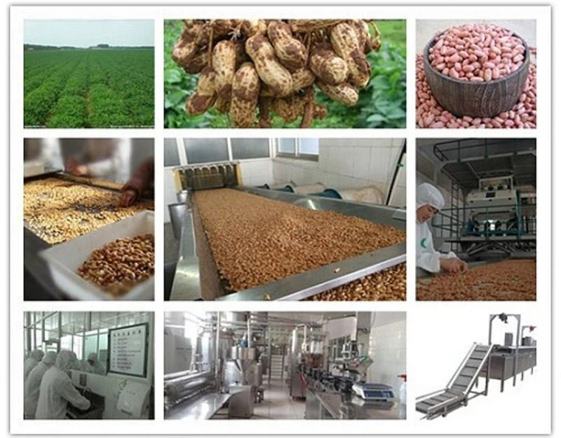 workshop(001) workshop(001)