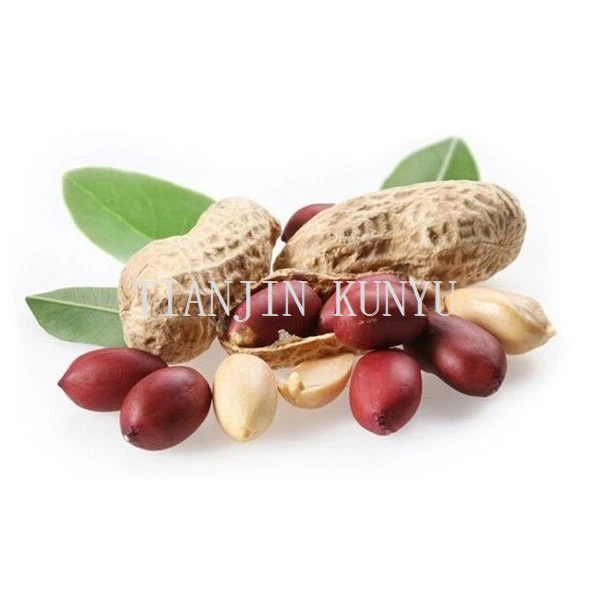 ถั่วลิสงในเปลือก 9 11